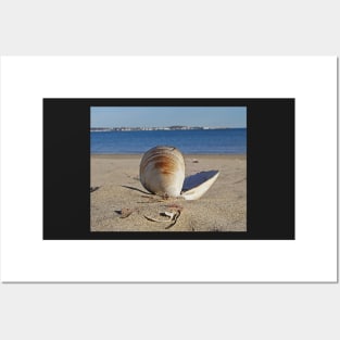 Revere Beach Clam Shell Back Revere MA Posters and Art